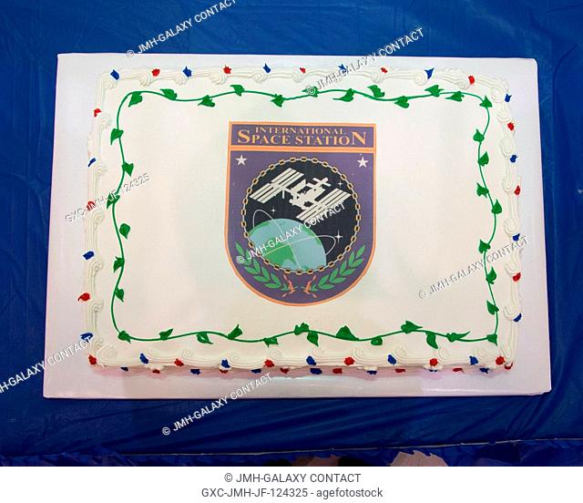 This is a close-up view of one of the Expedition 3637 cakes honoring the training staff and crew. Russian cosmonaut Fyodor Yurchikhin