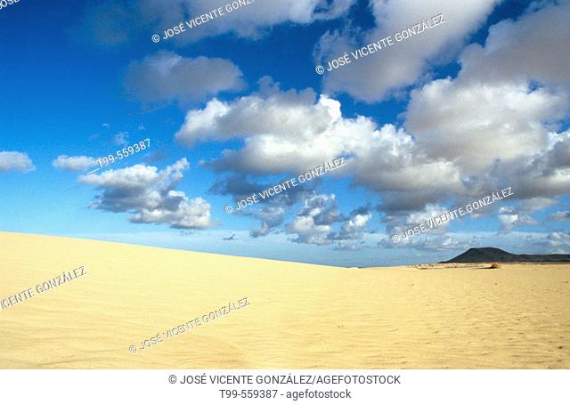 Dunes. Fuerteventura. Canary Islands. Spain
