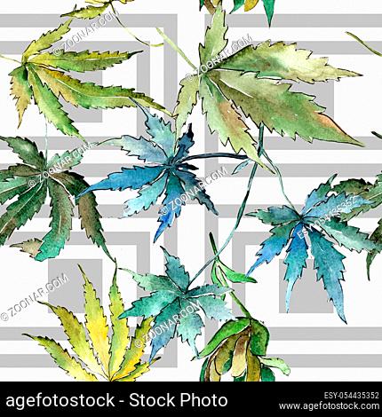 Green cannabis leaves in a watercolor style. Seamless background pattern. Fabric wallpaper print texture. Aquarelle leaf for background, texture