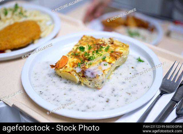 23 November 2023, Saxony, Dresden: A plate of potato gratin stands on a tray in the kitchen at Dresden Municipal Hospital