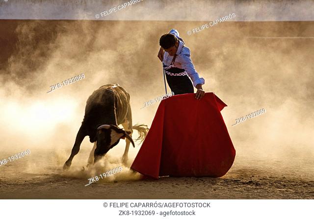 The Spanish bullfighter David Valiente Bullfight at tentadero, Jaen, Spain, 9 september 2009