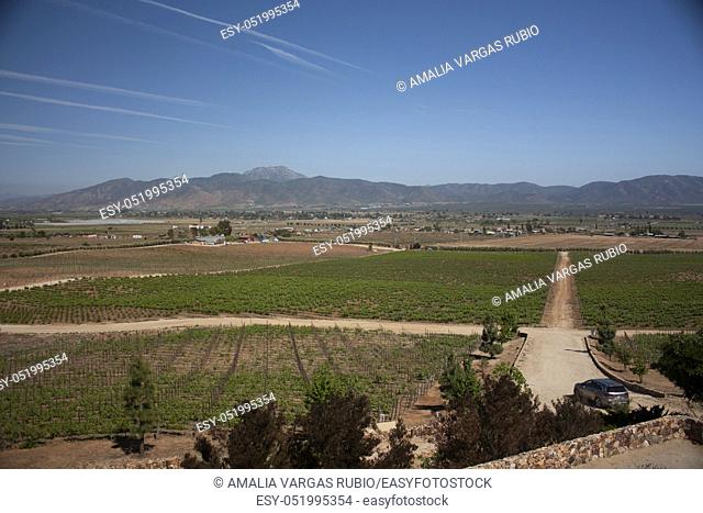 Roads between mountains and vineyards in Baja California Mexico beautiful landscapes with blue sky
