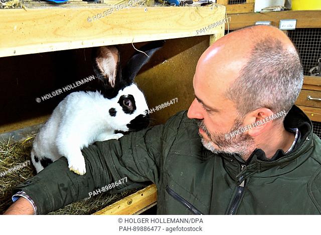 Rabbit breeder Jens Jadischke holds a rabbit of the flemish giant black and white breed at his rabbit stalls in Breilingen, Germany, 14 April 2017