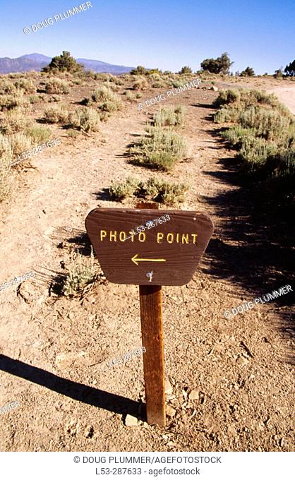 'Photo Point' sign. Ancient Bristlecone Pine Forest Camp. White Mountains. California, USA