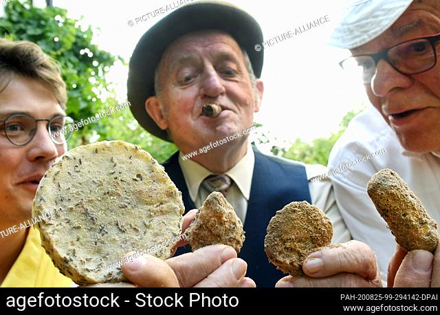 19 August 2020, Saxony-Anhalt, Würchwitz: As a ""mite cheese ambassador"", the 84-year-old Friedrich-Karl Steinbach, who plays the hobby crook Egon in the...