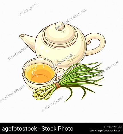 lemongrass tea in teapot illustration on white background