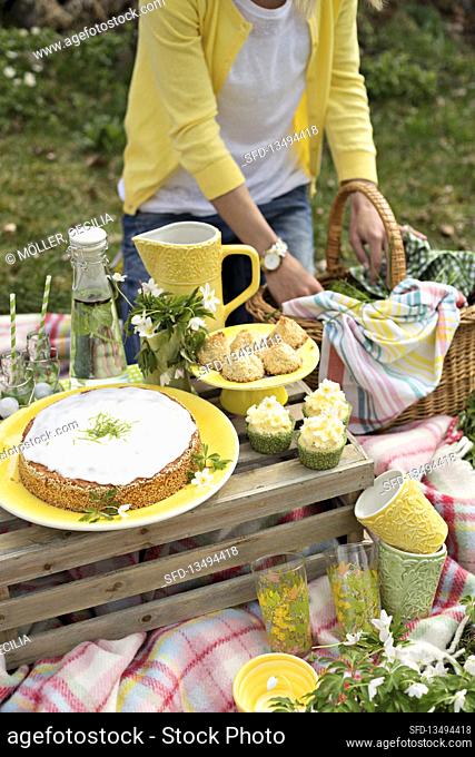 Spring picnic with cakes and biscuits