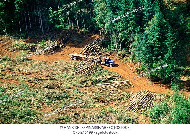 Aerial view of logging operation. Oregon. USA