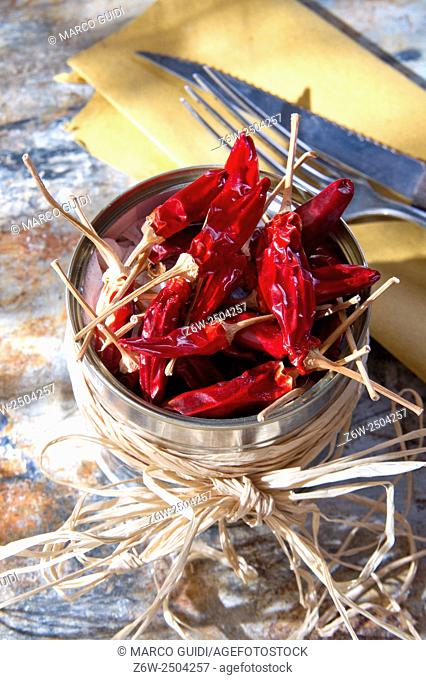 Presentation of the ingredient prince of the kitchen, dried chili