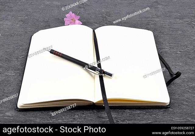 Notizbuch, Stift und Malve auf Schiefer - Notebook, pen and mallow on slate