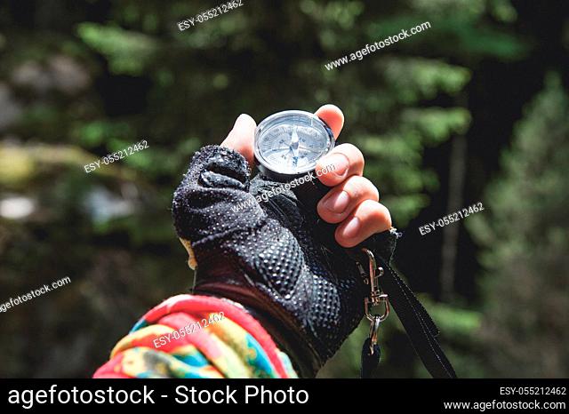 A gloved hand holds a magnetic compass against the background of a coniferous forest. The concept of outdoor navigation