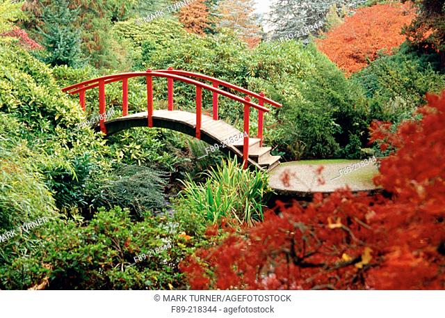 Red Moon Bridge among rhododendrons and Japanese maple. Kubota, Seattle. Washington. USA