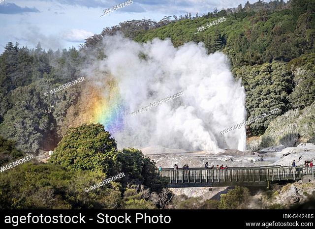 Tourists on bridge, view of erupting Pohutu Geyser with rainbow, Te Puia, Whakarewarewa, Rotorua, Bay of Plenty, New Zealand, Oceania