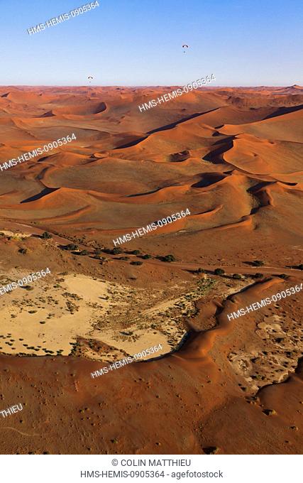Namibia, Hardap region, Namib desert, Namib-Naukluft national park, Namib Sand Sea listed as World Heritage by UNESCO, near Sossusvlei