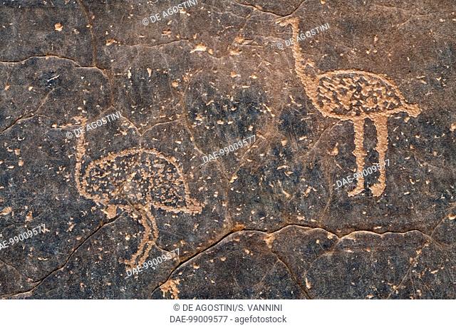 Ostriches, rock engraving, Anchal, Tadrart Acacus Massif (Unesco World Heritage List, 1985), Libya