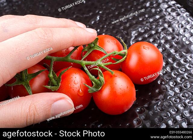 Bunch of red ripe tasty cherry tomatos in hand