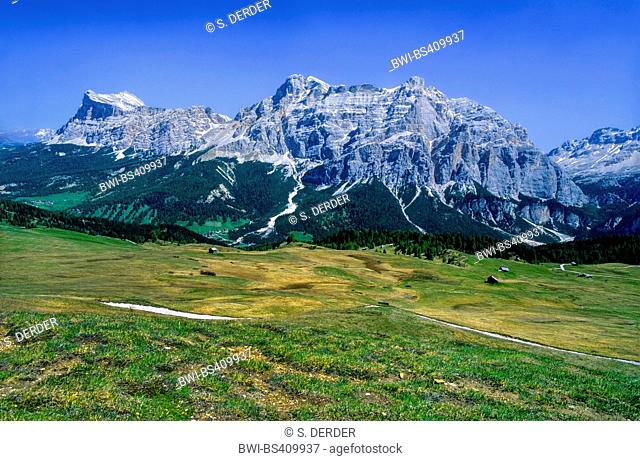 Armentara mountain meadow and Sas dla Crusc, Italy, South Tyrol, Dolomites