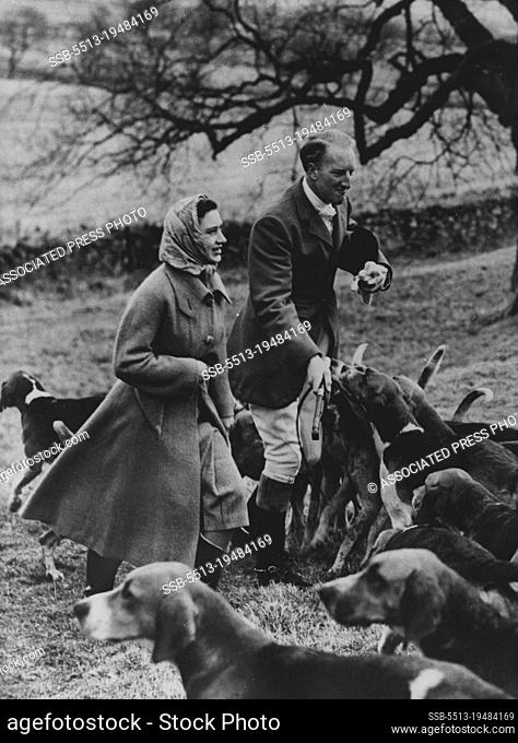 NC Lick for the Princess:- The hounds of the Berwickshire hunt press to lick the hand of the Earl of Dalkeith at a meet at home Castle