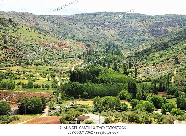 View from El Corralon viewpoint in Alcaraz village , Olive trees in Alcaraz mountain range  Albacete province, Spain