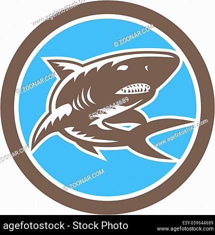 Illustration of a shark swimming set inside circle on isolated background done in retro woodcut style
