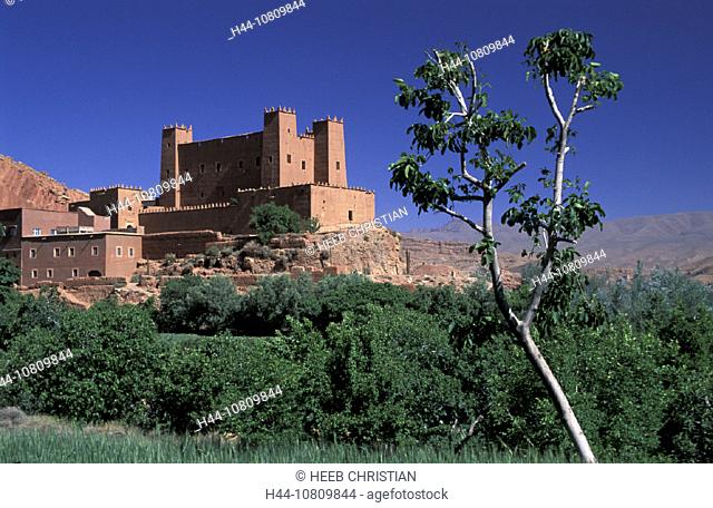 Africa, near Boumaine Dades, Gorges du Dades, Kasbah, Morocco, North Africa