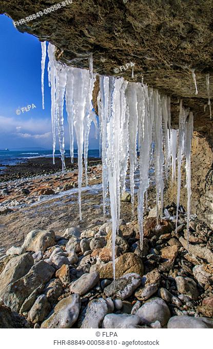 Icicles hanging from frozen cliff waterfalls Osmington Mills, Dorset, England, February