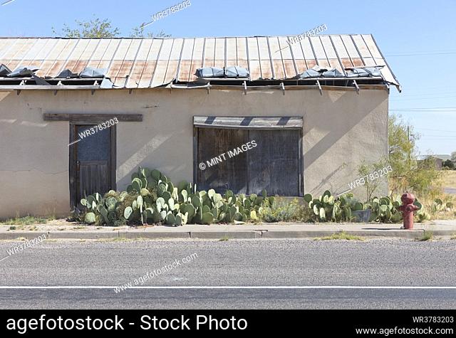 Abandoned building, cacti and fire hydrant