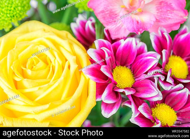 Bouquet of different flowers (yellow rose and maroon chrysanthemum) close up