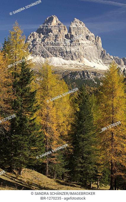 Tre Cime di Lavaredo mountains, Three Peaks seen from Pale die Misurina, Dolomites, South Tyrol, Italy, Europe