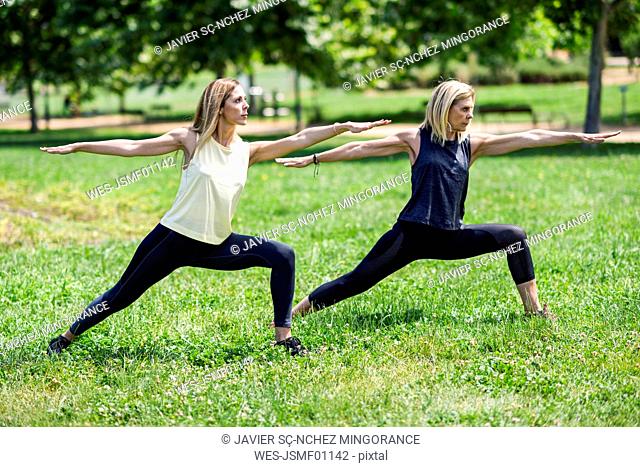 Mature woman doing yoga with her daughter in a park