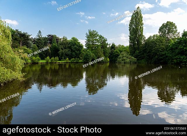 Reflection of trees and green plants in a water pond, Aalst, Belgium