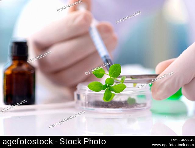 The biotechnology concept with scientist in lab