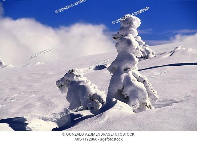 Snowman. Ski resort of Port Aine. Catalan Pyrenees. Rialp. Pallars Sobira. Lleida-provincia. Catalonia. Spain