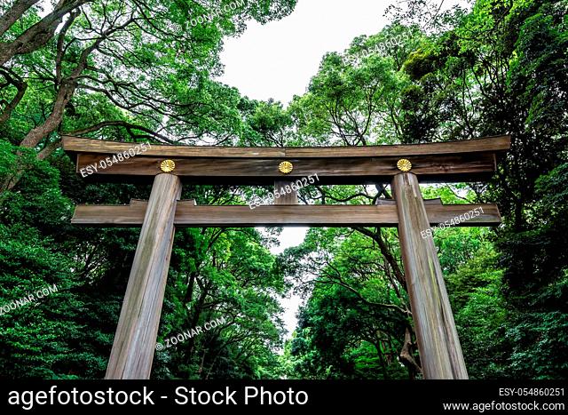 the close up view of the first torii gate leading upto meiji jingu in tokyo, japan