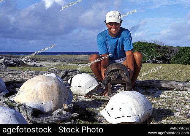 KRISTIAN TELEKI, BIOLOGIST, CAMBRIDGE UNIVERSITY, WITH TURTLE ON THE ISLAND OF ALDABRA, SEYCHELLES. SHELLS OF DEAD TURTLES ARE SPREAD ON THE ISLAND