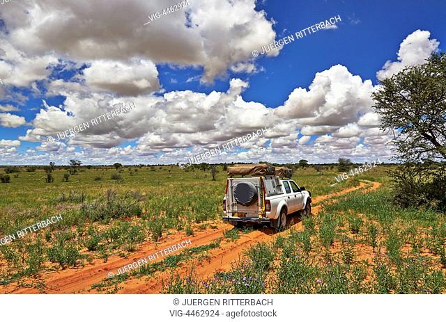 4x4 in landscape of Kgalagadi Transfrontier Park, Kalahari, South Africa, Botswana, Africa - Kgalagadi Transfrontier Park, South Africa, Botswana, 01/03/2014