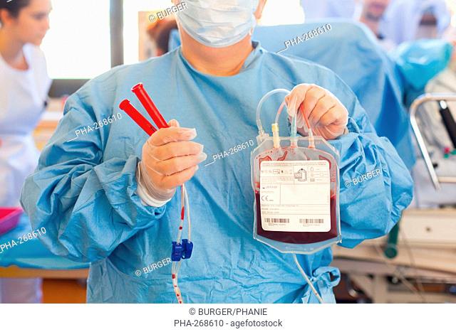 Umbilical cord blood for stem cell harvesting. Bag of placental blood. Obstetrics and gynaecology department, Limoges hospital, France