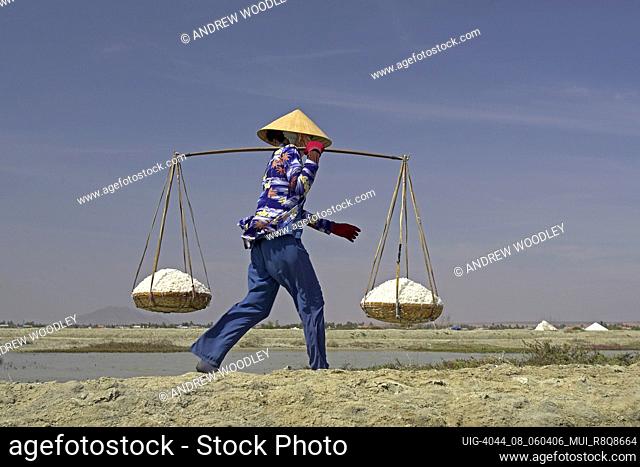 Woman in conical hat carries heavy wicker pannier baskets of salt between salt ponds Phan Thiet Vietnam