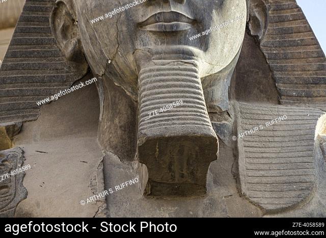Detail of head. Statue of Ramses II. Temple of Luxor, Luxor, Luxor Governate. Egypt, Africa, Middle East