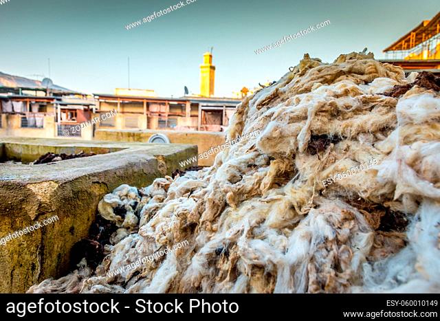 Piles of white wool Chouara Tannery, Fez, Morocco