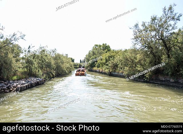 Tourists around the island of Torcello in the summer of Covid. Venice (Italy), 20 August 2020