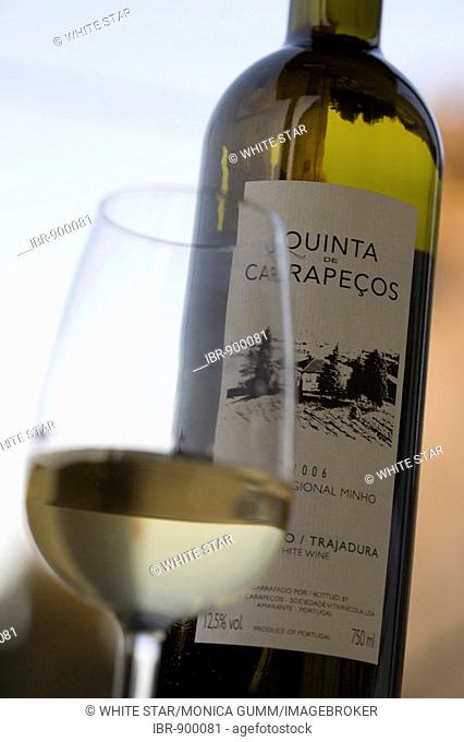 Alvarinho, a Vinho Verde, a Trajadura wine from the Quinta de Carapeços, from the oenologist Jorge Sousa Pinto, near the village of Amarante, Porto Region