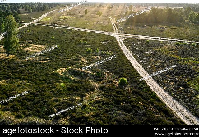 12 August 2021, Brandenburg, Pfalzheim: View from the observation tower on the Sielmann Hill of the Kyritz-Ruppiner Heide natural landscape in the evening at...
