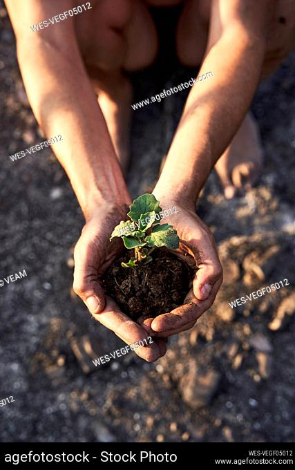 Man with cupped hands holding plant in forest