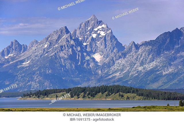 Willow Flats in front of Teton Range mountain chain with Mount Moran and Jackson Lake, Grand Teton National Park, Wyoming, USA, North America