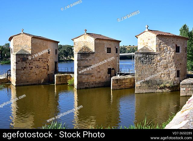 Zamora city, Duero River with aceñas de Olivares. Castilla y Leon, Spain