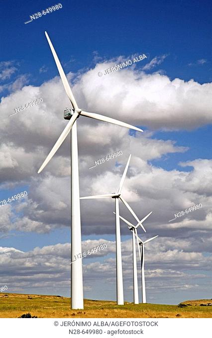 Windfarm. Paramo de Masa. Burgos province, Spain