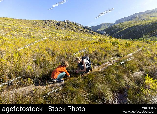 Teenage girl and younger brother hiking on the Waterfall Trail, crouching on a path