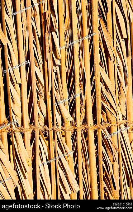 abstract  texture of a bamboo wall background in oman