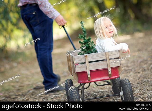 Loving Father Pulls Baby Girl in Wagon with Christmas Tree Outdoors